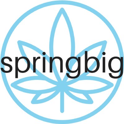 Logo springbig