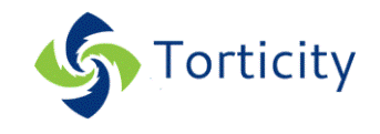 Logo Torticity